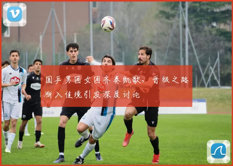 国乒男团女团齐奏凯歌，晋级之路渐入佳境引发深度讨论