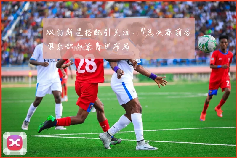 双打新星搭配引关注，W总决赛前各俱乐部加紧青训布局