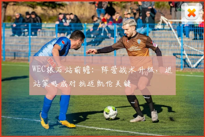 WEC银石站前瞻：阵营战术升级，进站策略成对抗迈凯伦关键